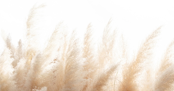 Psychological Assessment