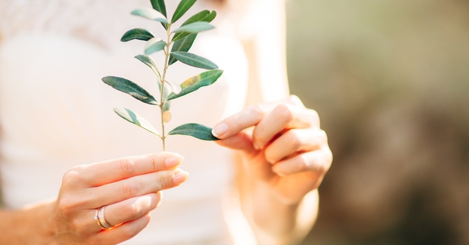 Enhancing Resilience through Emotional Intelligence